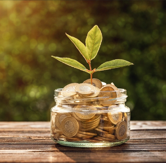 Gestión de suministros energéticos